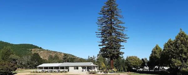 光明乡村高尔夫俱乐部 - 全国335座高尔夫球场实时预订-高球爱好者一站式订场平台