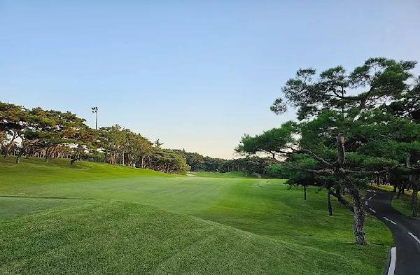 大邱乡村俱乐部 - undefined