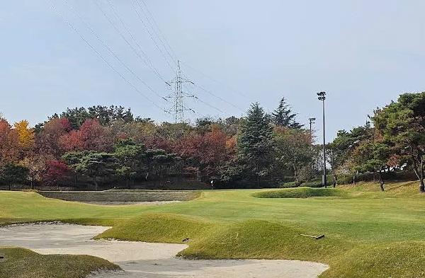 大邱乡村俱乐部 - 深圳观澜湖高尔夫订场服务-广东专业高尔夫预订平台