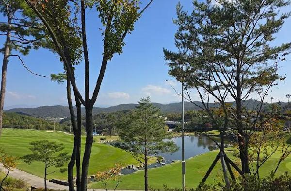 高灵奥菲尔高尔夫俱乐部 - 全国335座高尔夫球场实时预订-高球爱好者一站式订场平台