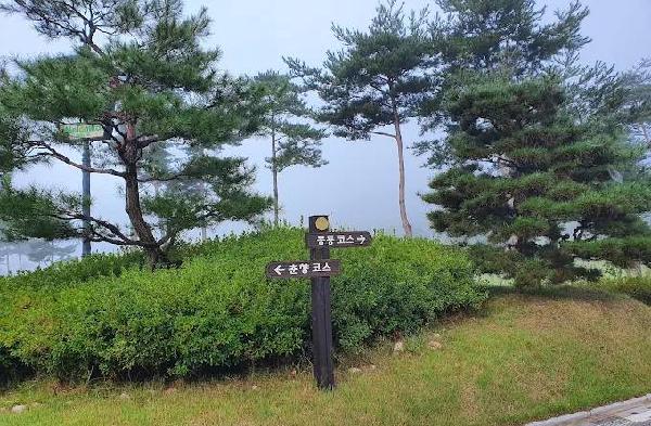 南原常绿高尔夫球场 - undefined