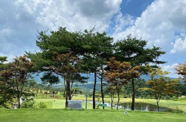 高尔夫球场龙乡村俱乐部 - undefined