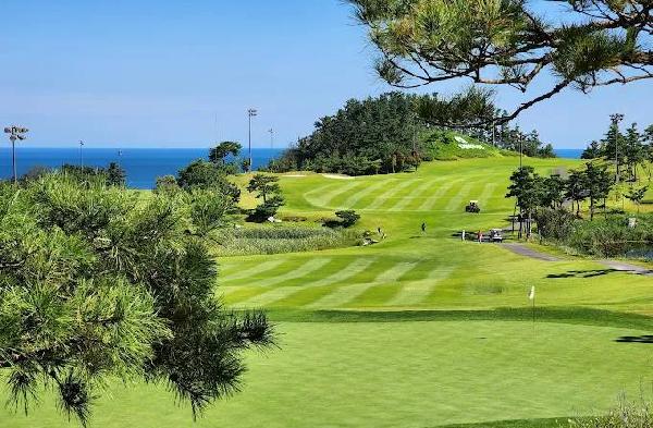 海洋沙滩高尔夫度假村 - 全国335座高尔夫球场实时预订-高球爱好者一站式订场平台