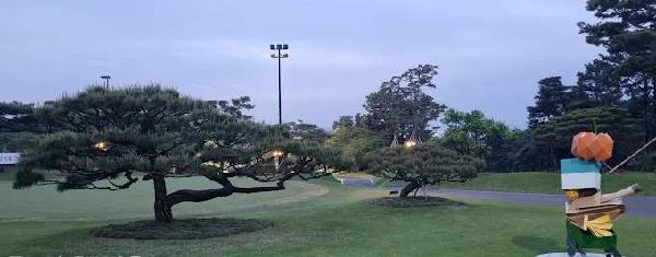 大邱乡村俱乐部 - 阳江保利银滩高尔夫套票-海滨高尔夫旅游1球1晚套餐