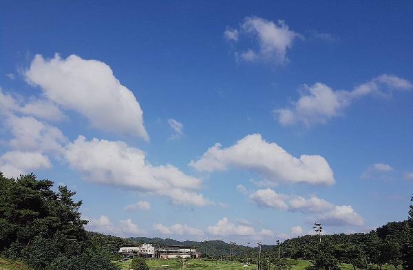 高尔夫球场天安 - undefined