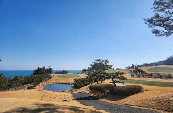 海洋沙滩高尔夫度假村 - undefined