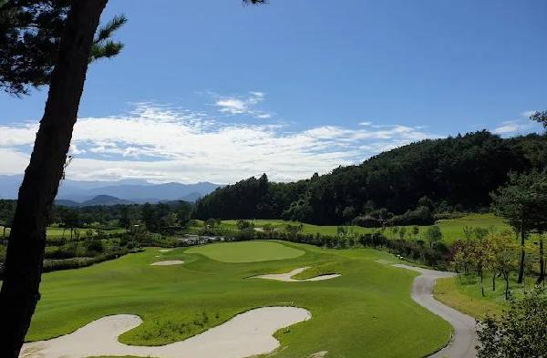 南原常绿高尔夫球场 - undefined