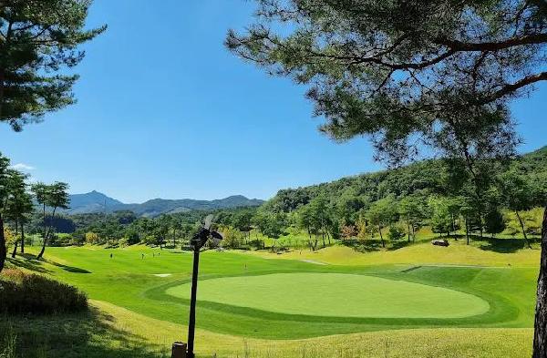 南原常绿高尔夫球场 - undefined