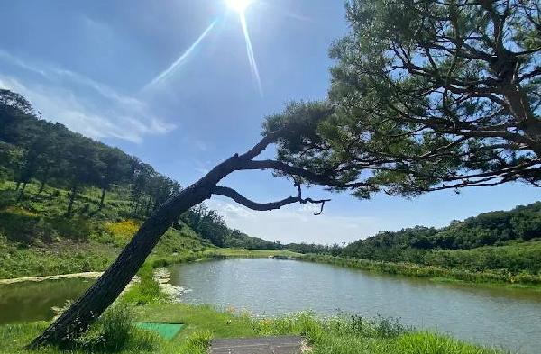 阿瑞斯塔乡村俱乐部 - 高尔夫1球1晚特惠套票-星际高球联盟精选旅游套餐