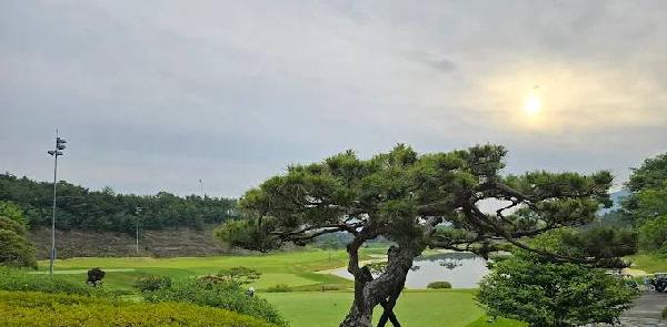 军威奥菲尔高尔夫俱乐部 - 阳江保利银滩高尔夫套票-海滨高尔夫旅游1球1晚套餐