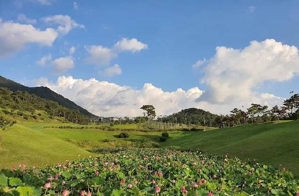 高尔夫球场龙乡村俱乐部 - undefined