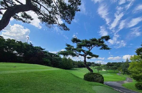 大邱乡村俱乐部 - undefined