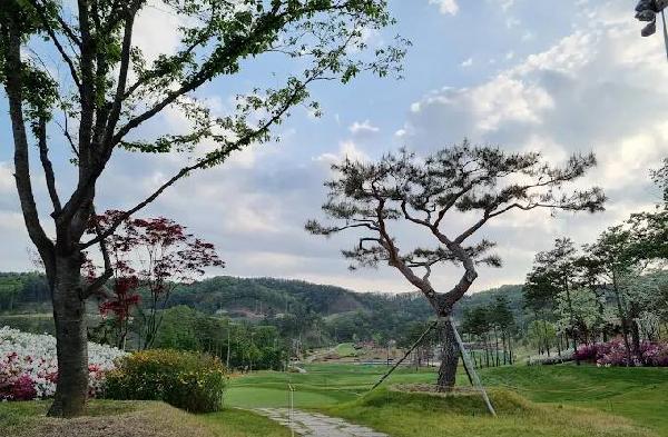 高灵奥菲尔高尔夫俱乐部 - undefined