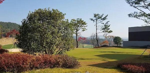 高灵奥菲尔高尔夫俱乐部 - undefined