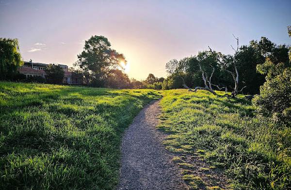 诺斯科特公共高尔夫球场 - 海口观澜湖高尔夫球场预订-海南高尔夫旅游攻略推荐