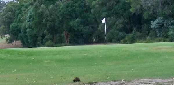 莱昂加塔高尔夫俱乐部 - 深圳观澜湖高尔夫订场服务-广东专业高尔夫预订平台