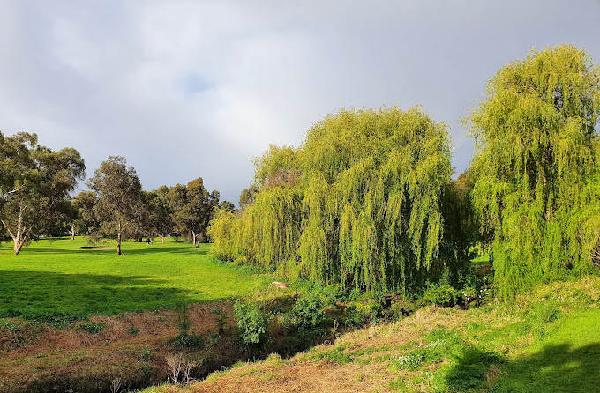 诺斯科特公共高尔夫球场 - 深圳观澜湖高尔夫订场服务-广东专业高尔夫预订平台