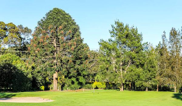 梅里韦瑟高尔夫俱乐部 - 星际高球联盟-中国精英人士高尔夫旅游度假实景