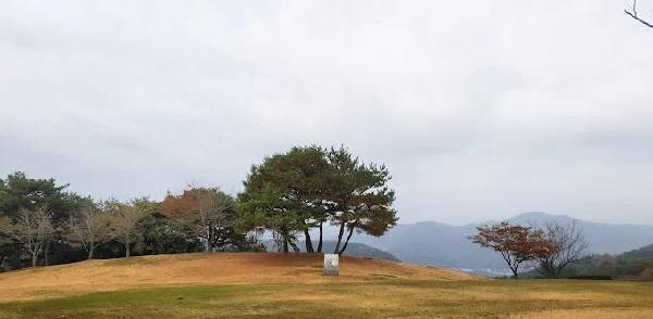 晋州乡村俱乐部 - undefined