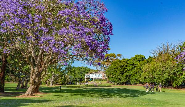 梅西公园高尔夫俱乐部 - 深圳观澜湖高尔夫订场服务-广东专业高尔夫预订平台