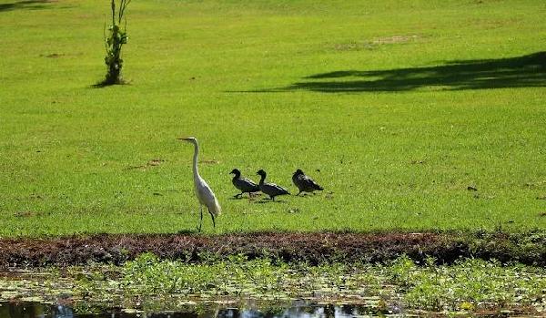 伍德福德高尔夫俱乐部 - undefined
