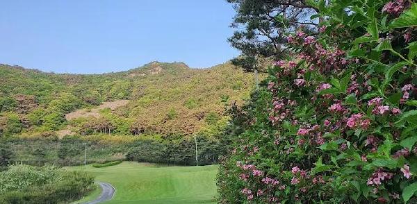 闻庆高尔夫俱乐部 - 高尔夫1球1晚特惠套票-星际高球联盟精选旅游套餐