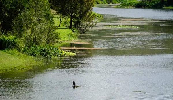 沃尔斯顿公园高尔夫俱乐部 - 星际高球联盟-中国精英人士高尔夫旅游度假实景