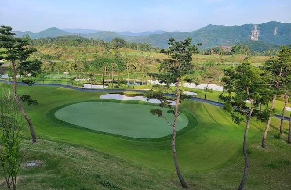 雷城堡高尔夫度假村 - undefined