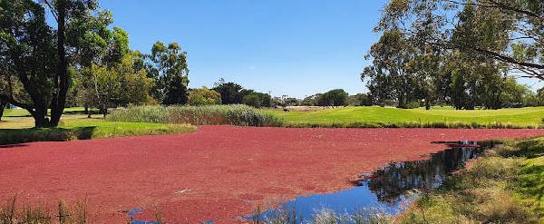 梅尔顿谷高尔夫俱乐部 - 深圳观澜湖高尔夫订场服务-广东专业高尔夫预订平台