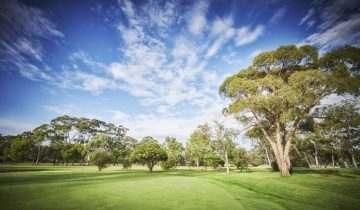 尼安格公园高尔夫俱乐部 - 海口观澜湖高尔夫球场预订-海南高尔夫旅游攻略推荐