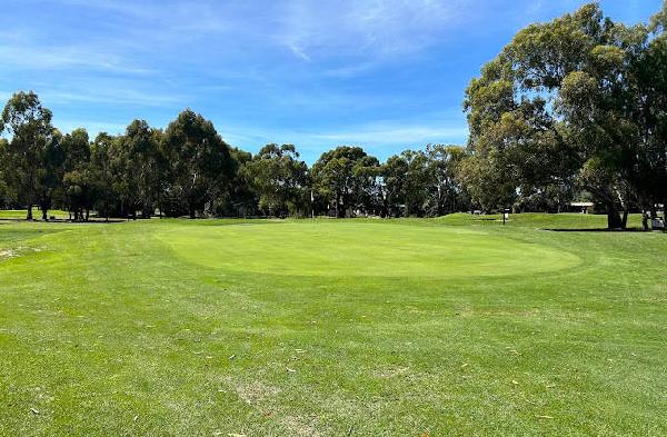 曼斯菲尔德高尔夫俱乐部 - undefined