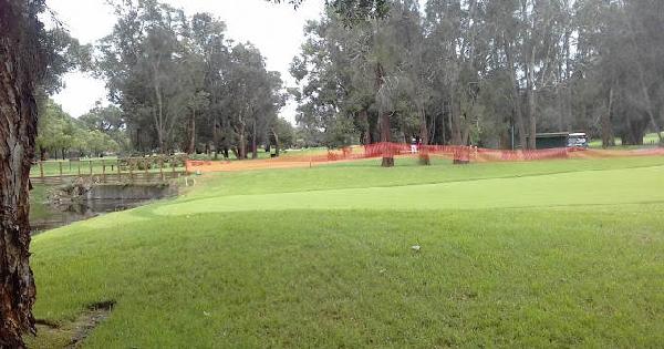 大沼泽地乡村俱乐部 - undefined