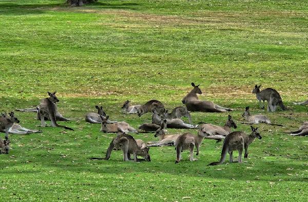 伊甸园体育休闲俱乐部 - 高尔夫1球1晚特惠套票-星际高球联盟精选旅游套餐