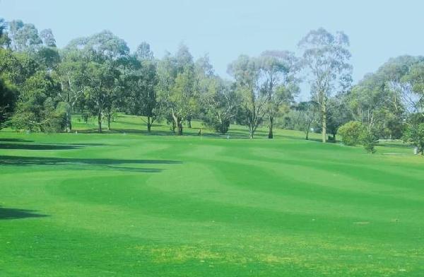 邦多拉公园高尔夫球场 - 星际高球联盟-中国精英人士高尔夫旅游度假实景