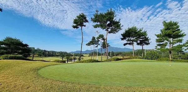 高尔夫球场泗川 - undefined