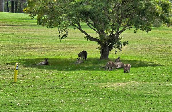 伊甸园体育休闲俱乐部 - 海口观澜湖高尔夫球场预订-海南高尔夫旅游攻略推荐