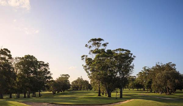 巴利纳高尔夫俱乐部 - 海口观澜湖高尔夫球场预订-海南高尔夫旅游攻略推荐