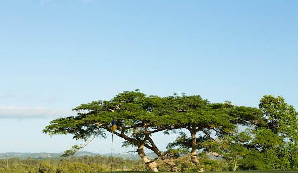 巴利纳高尔夫俱乐部 - 阳江保利银滩高尔夫套票-海滨高尔夫旅游1球1晚套餐