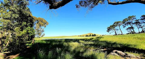 莫斯维尔高尔夫俱乐部 - 深圳观澜湖高尔夫订场服务-广东专业高尔夫预订平台