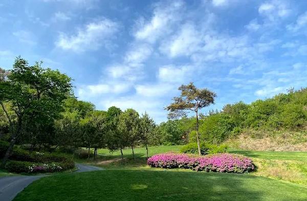 西京塔尼乡村俱乐部 - undefined