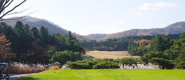 IPO乡村俱乐部 - undefined