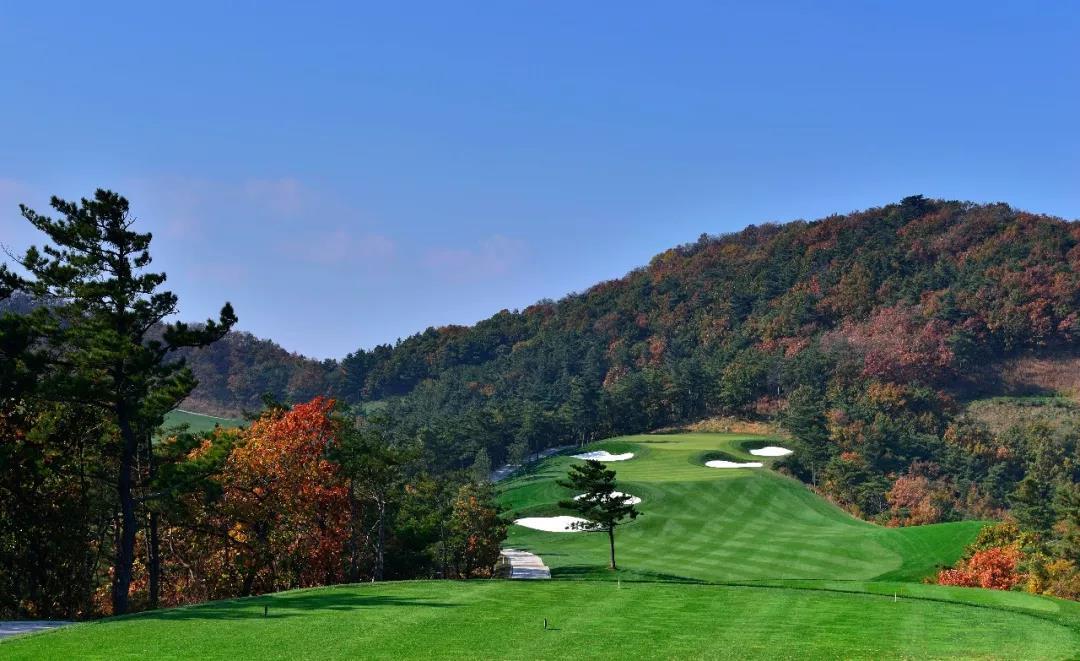 大连红旗谷球会 - 星际高球联盟-中国精英人士高尔夫旅游度假实景