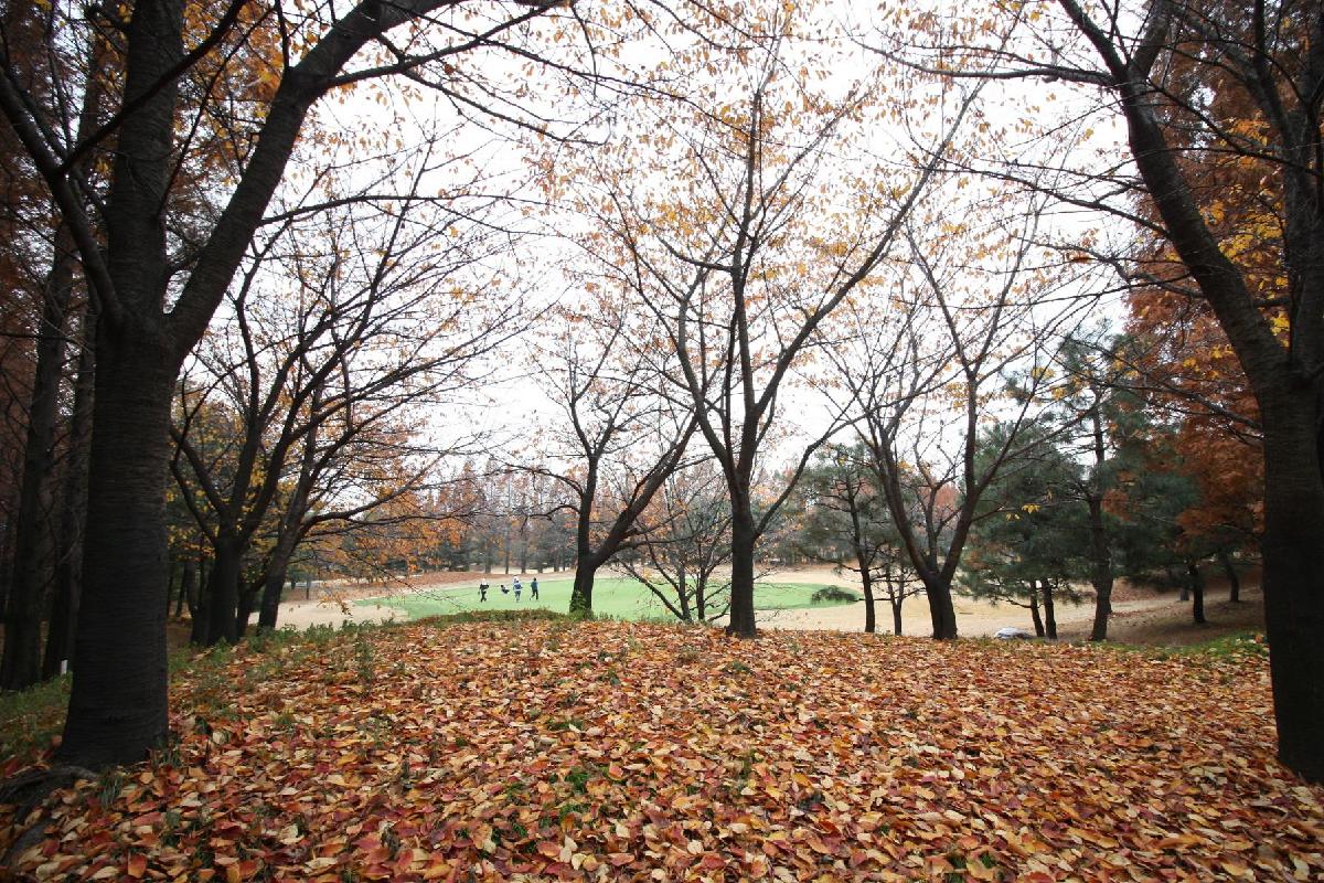 仁川格兰德高尔夫球会 - 深圳观澜湖高尔夫订场服务-广东专业高尔夫预订平台
