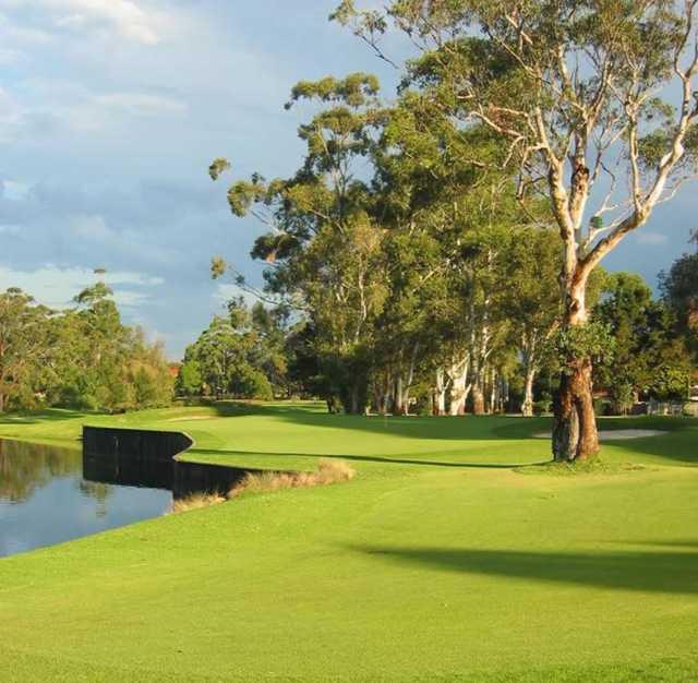 Ryde-Parramatta Golf Club - 星际高球联盟-中国精英人士高尔夫旅游度假实景