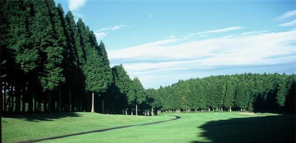 栃之木乡村俱乐部 - 全国335座高尔夫球场实时预订-高球爱好者一站式订场平台