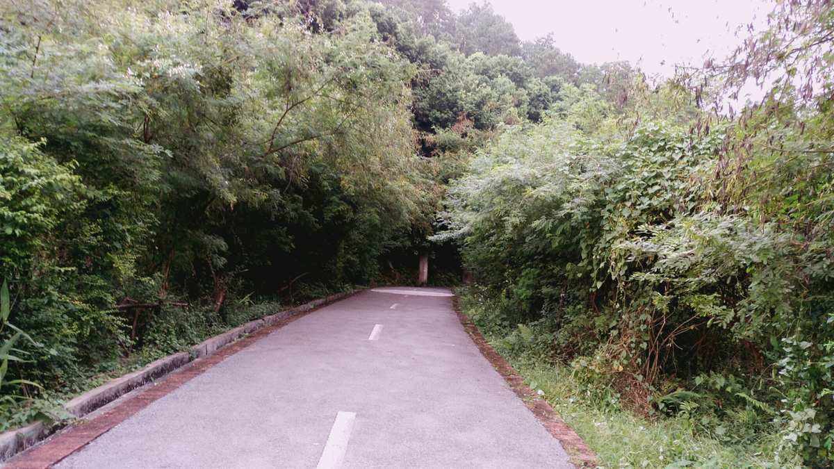 云浮市植物园 - 星际高球联盟-中国精英人士高尔夫旅游度假实景