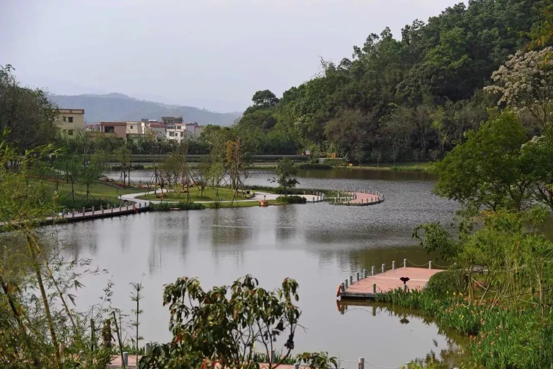 太平湿地公园 - 星际高球联盟-中国精英人士高尔夫旅游度假实景
