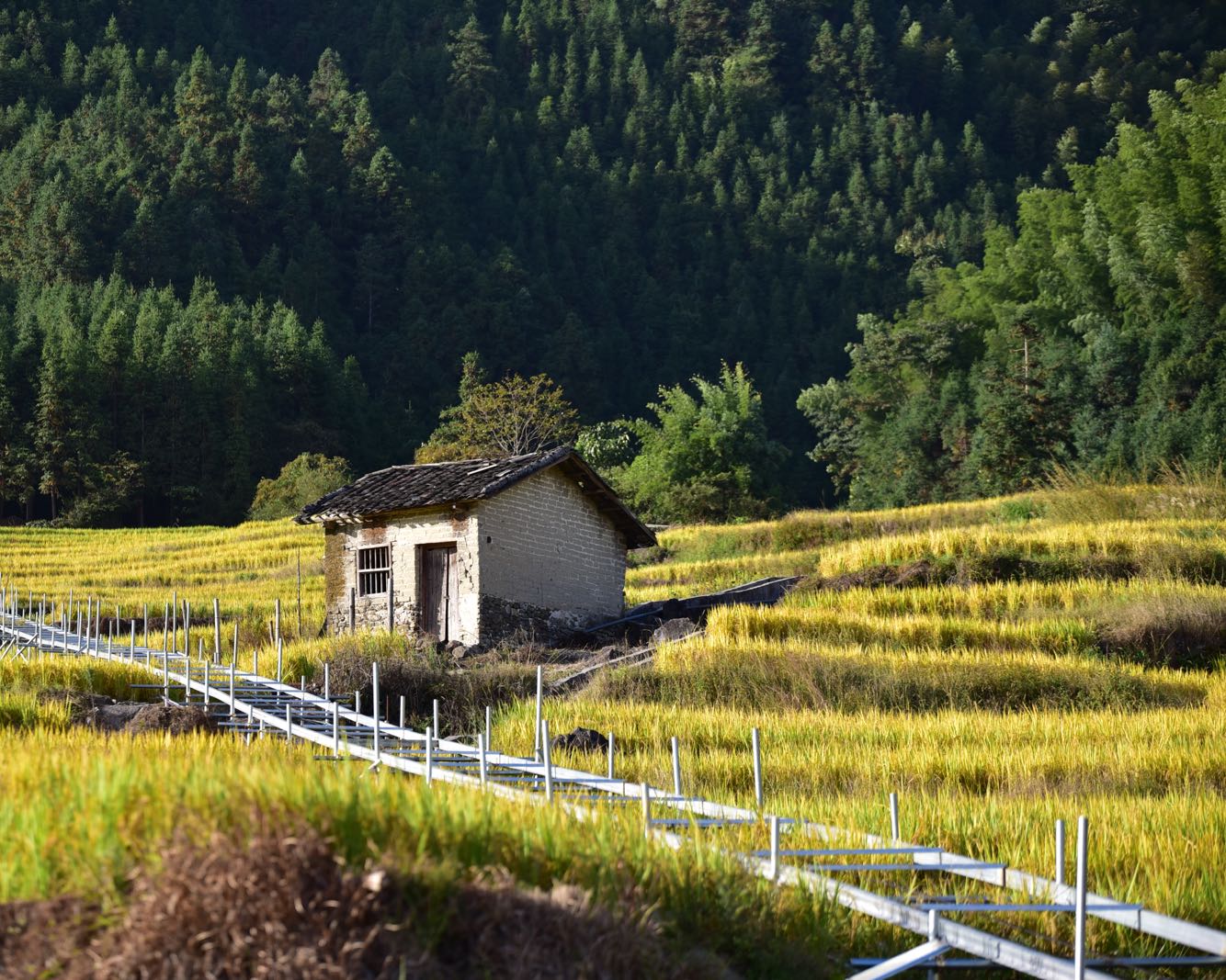 连山欧家梯田 - 全国335座高尔夫球场实时预订-高球爱好者一站式订场平台