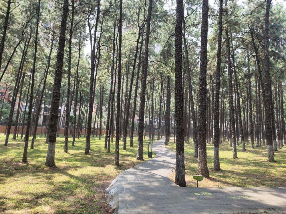 松林公园 - 全国335座高尔夫球场实时预订-高球爱好者一站式订场平台