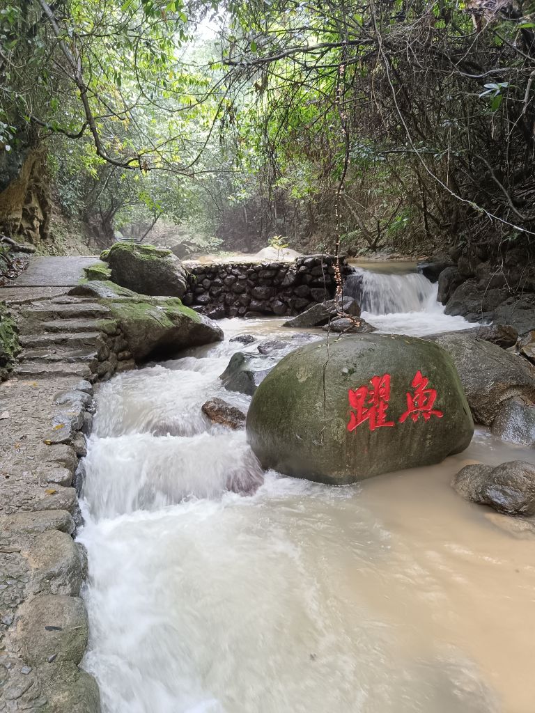 天子山瀑布景区 - 高尔夫1球1晚特惠套票-星际高球联盟精选旅游套餐